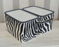 bazyle zebra.jpg
