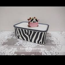 bazyl 2,8 zebra.jpeg