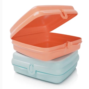 Tupperware Śniadaniówka - Zestaw 2 sztuk