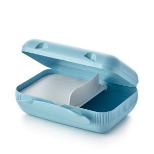 Tupperware Lunch Box